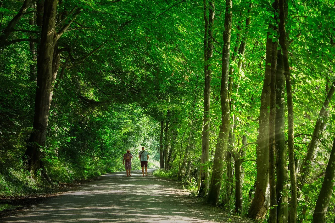 Chrissi und Daniel – Weg zwischen den Bäumen